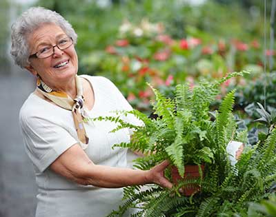 horticultural therapy