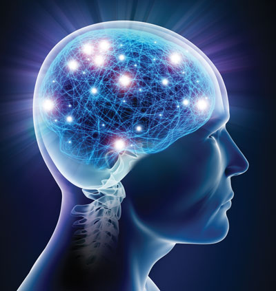 brain health