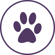 Icon of a paw print inside a circle frame representing 'Pet Friendly' in the Memory Care amenities section